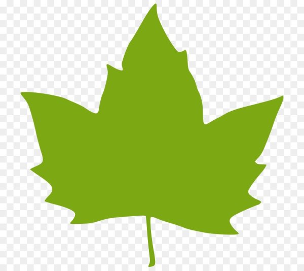 Листики деревьев