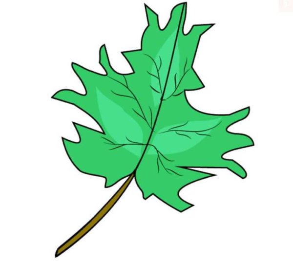 Листья рисунок