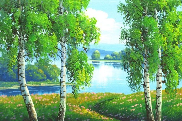 Береза для дошкольников