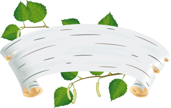 Береза для дошкольников