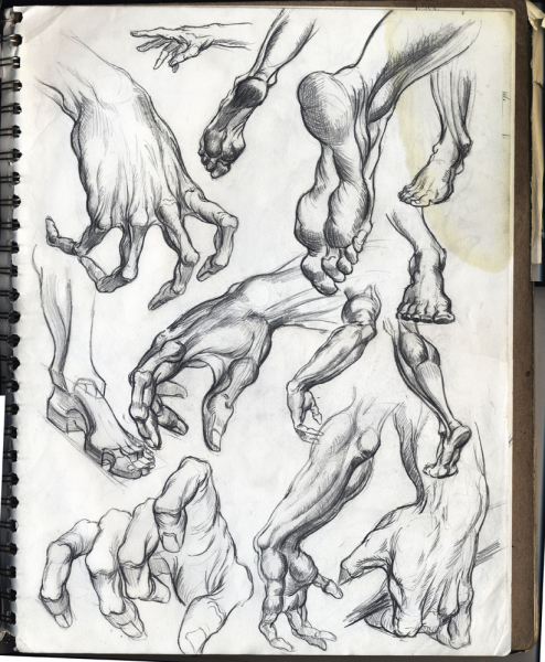 Берн Хогарт