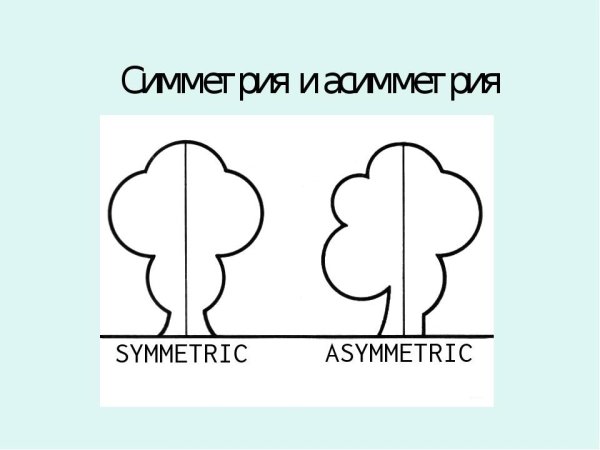 Симметрия и асимметрия рисунок