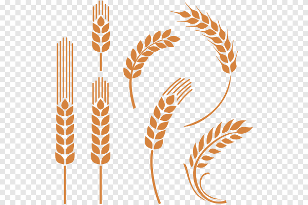 Стилизованный Колос пшеницы