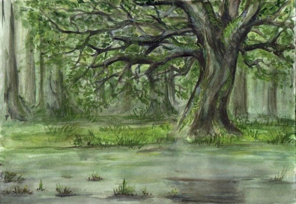 Лес карандашом