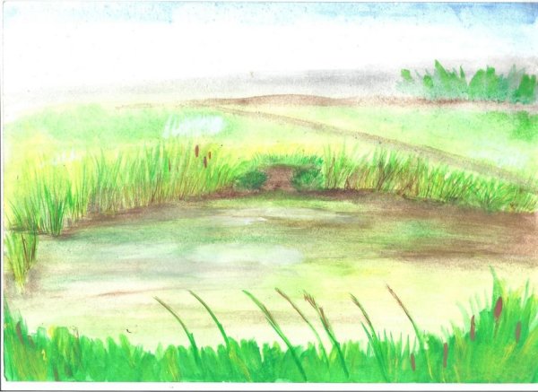 Болото для дошкольников