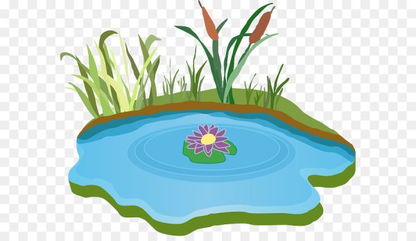 Болото на белом фоне