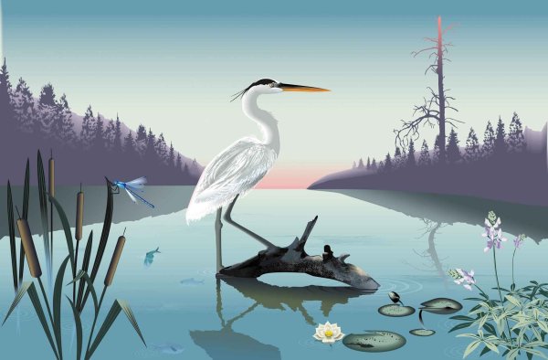 Болота в лесу