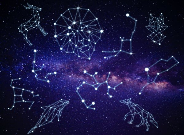 Звездный зоопарк зодиакальные созвездия