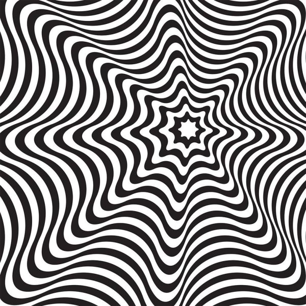 Иллюзия черно белая