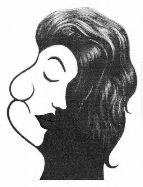 Картинки с двойным изображением