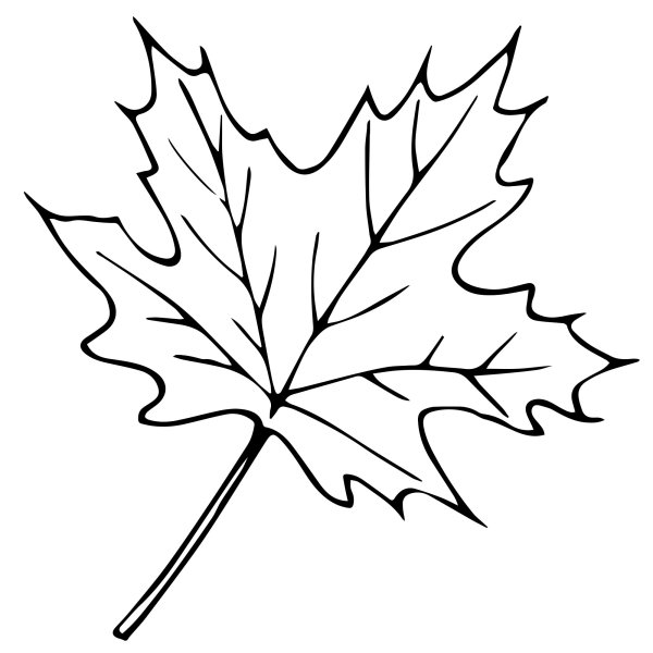 Раскраска листья деревьев для детей