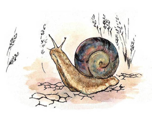 Японская живопись улитка