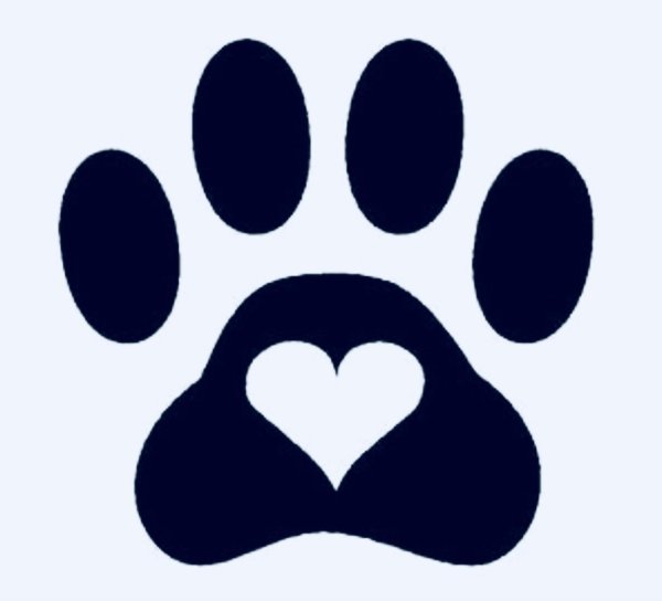 Отпечаток лапки кота