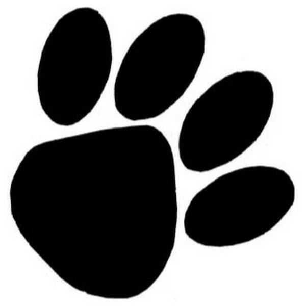 Отпечаток лапы кота без фона