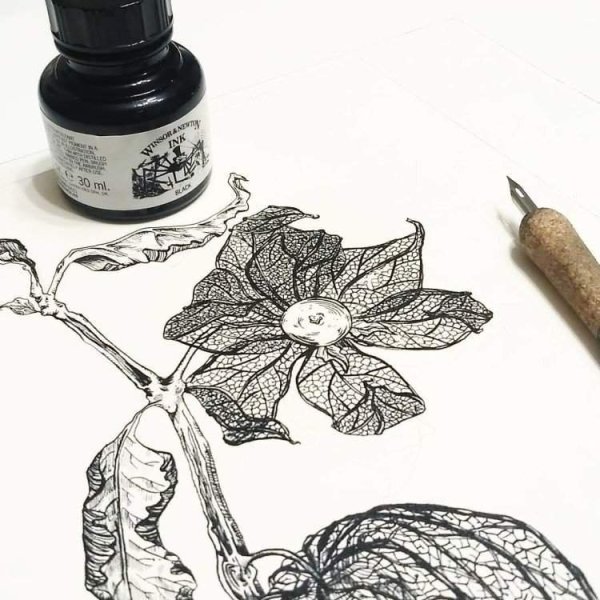 Тушь для рисования