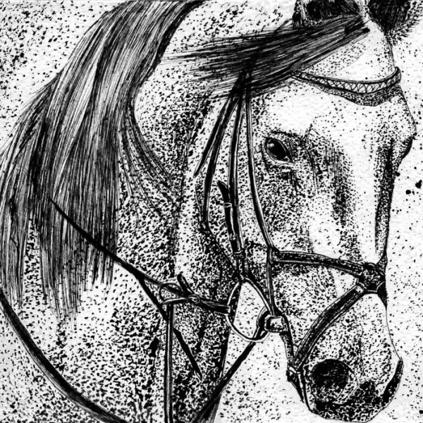 Графика тушью и пером