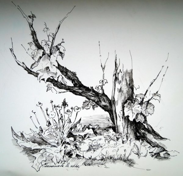 Тушь для рисования