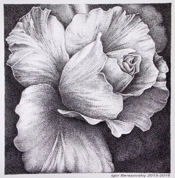 Цветы тушью и пером