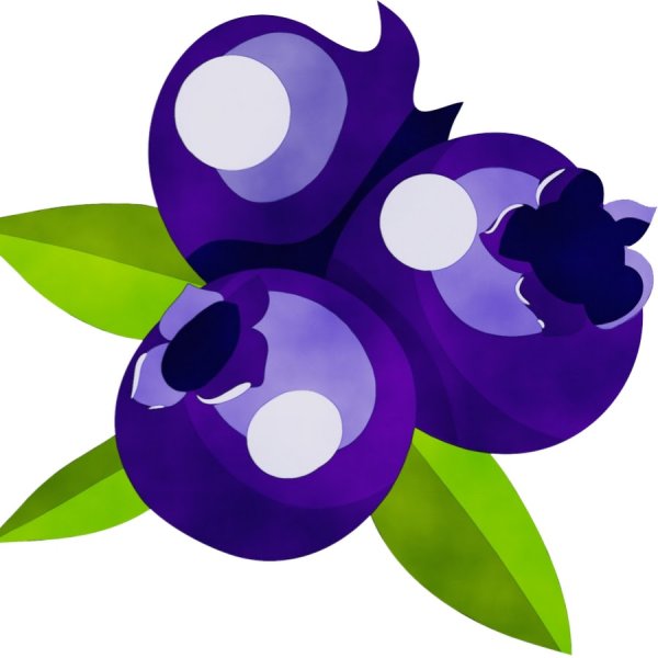 Черника цветными карандашами