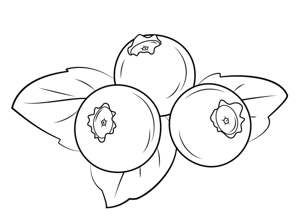 Голубика мультяшная