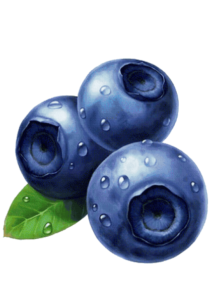 Голубика ягоды акварель