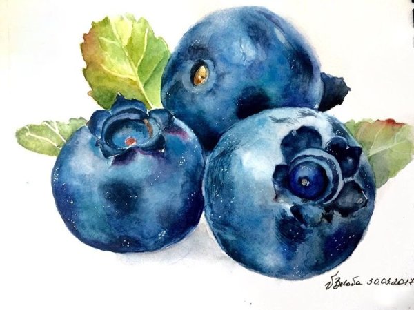 Голубика референс