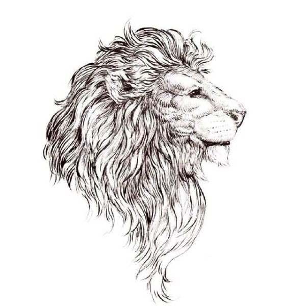 Лев тату эскиз