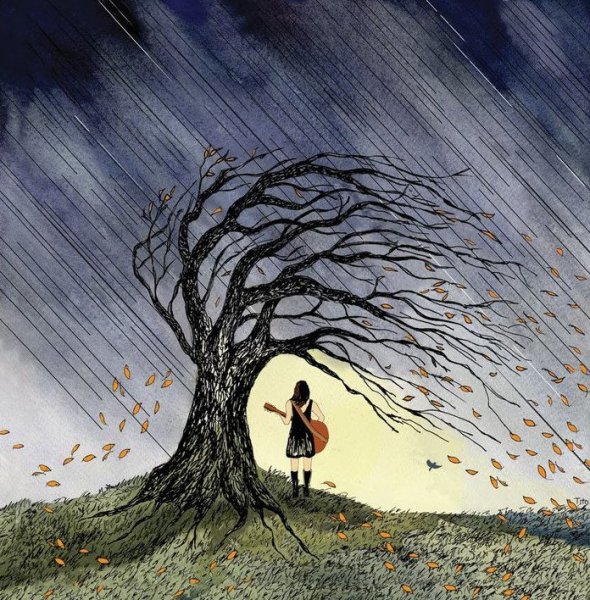 Дерево на ветру