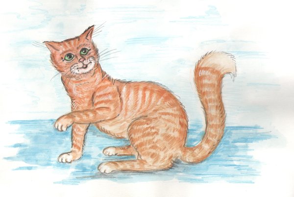 Рисование жпг