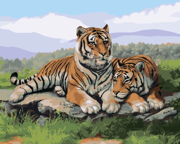 Животные тигр