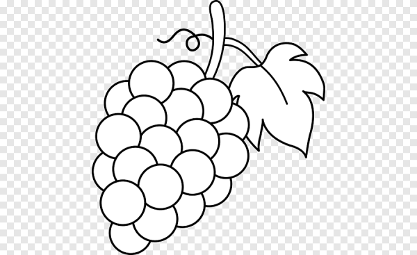 Виноград раскраска