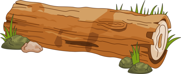 Бревно нарисованное