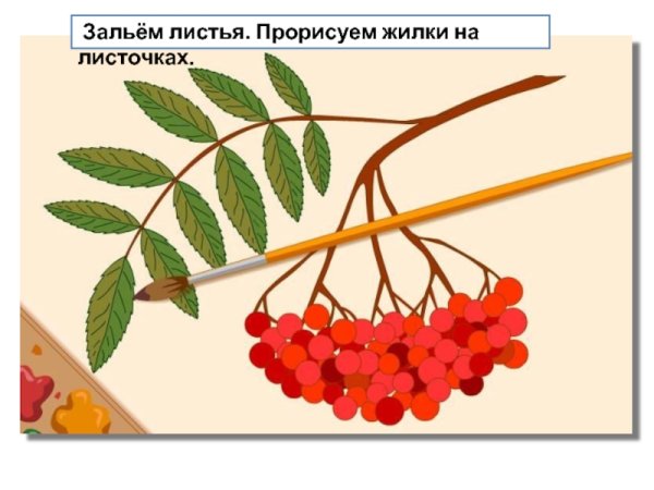 Ветка рябины рисование