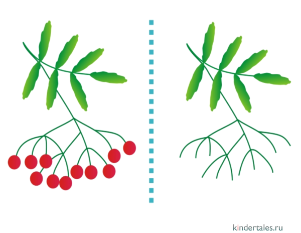 Рисование гроздь рябины