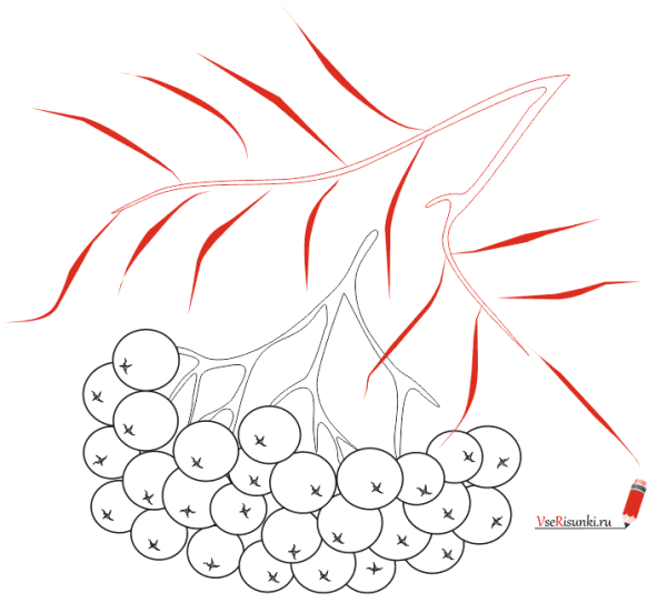 . Аппликация «ветка рябины» (а. н. Малышева)