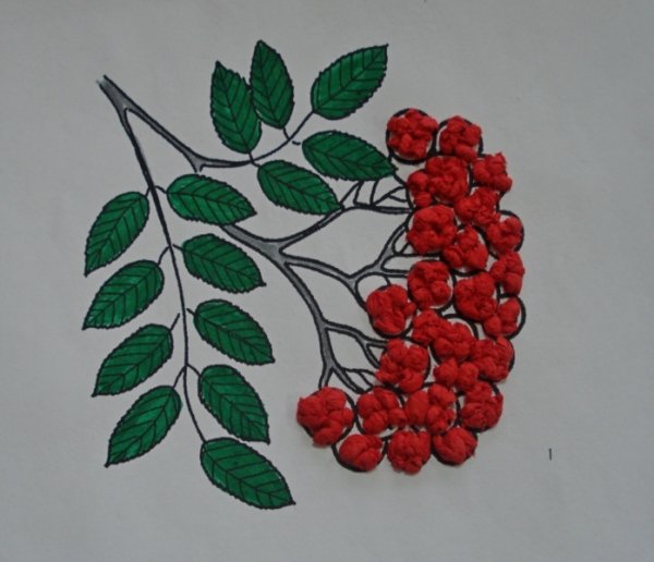 Ветка рябины