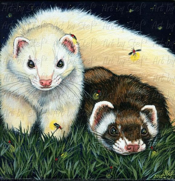 Нарисовать хорька