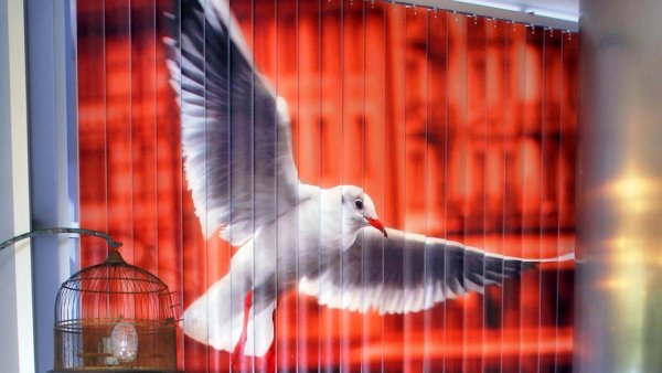 Вертикальные жалюзи с фотопечатью