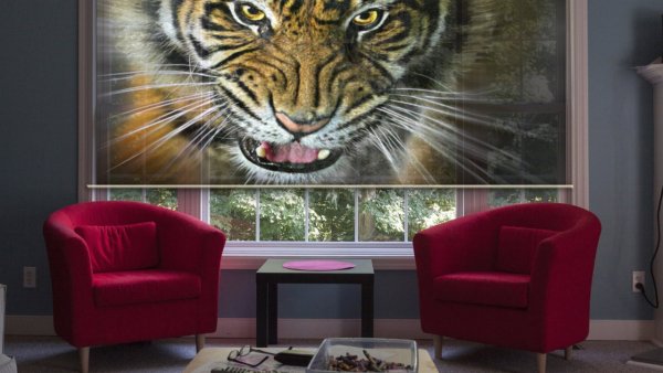 Рулонные шторы с фотопечатью