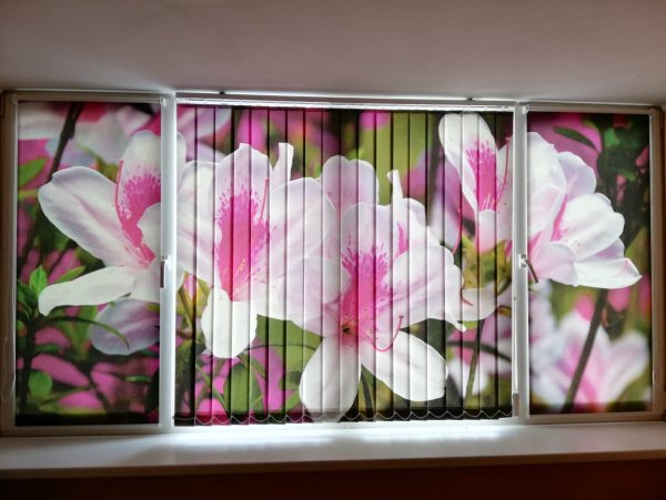 Фотожалюзи вертикальные