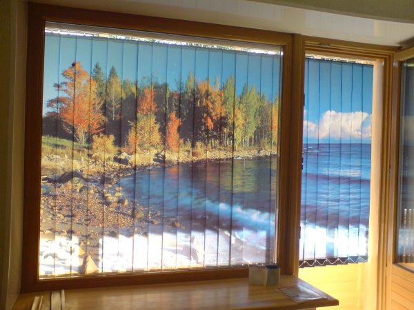 Горизонтальные жалюзи с рисунком