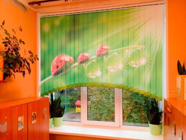 Рулонные шторы с фотопечатью