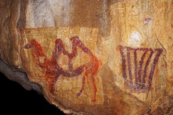 Наскальная живопись Шульган Таш