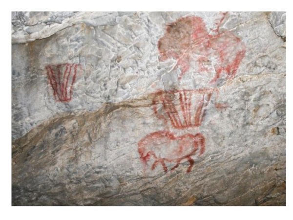 Пещера Шове тарпаны