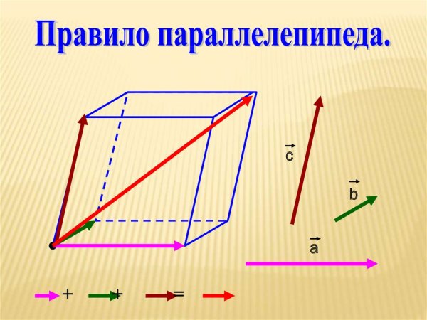 Коллинеарные векторы