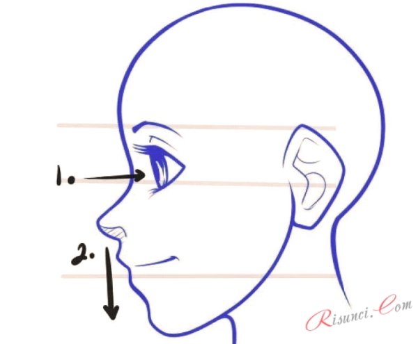 Лицо в профиль рисунок