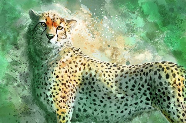 WILDCRAFT гепард