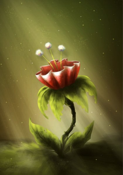 Фантастические цветы