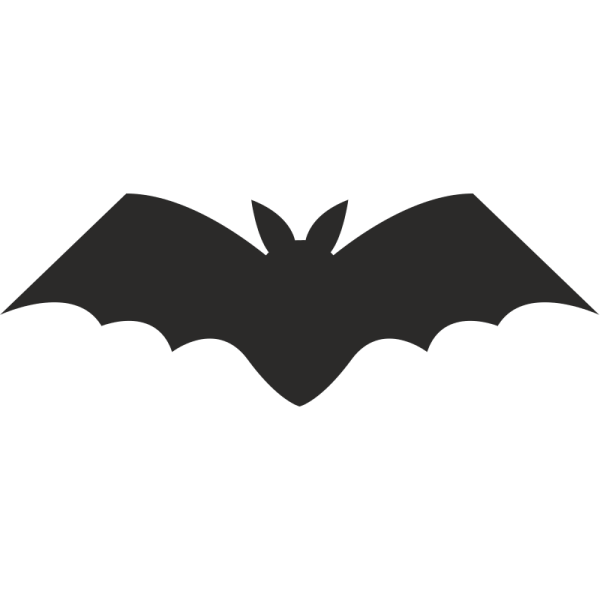 Летучая мышь