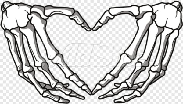 Изображение костей